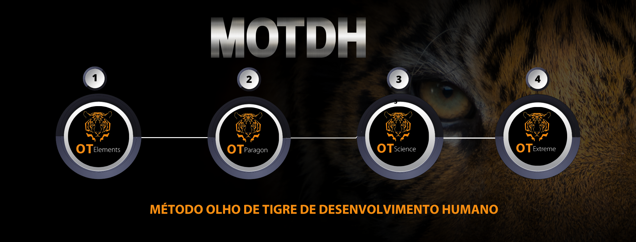 MOTDH - Método Olho de Tigre de Desenvolvimento Humano